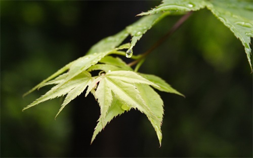 在线的心理医生,如何判断自己有潜力?
